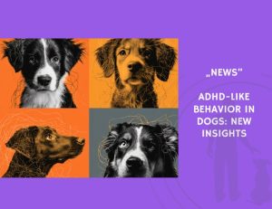 News-ADHD-Like Behavior in Dogs New Insights