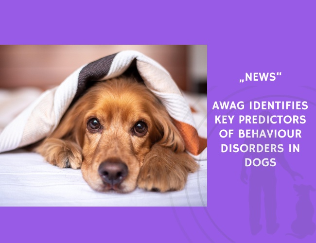 News-AWAG Identifies Key Predictors of Behaviour Disorders in Dogs