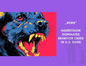 News-Aggression Dominates Behavior Cases in U.S. Dogs