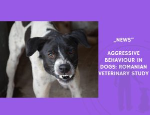 News-Aggressive Behaviour in Dogs Romanian Veterinary Study