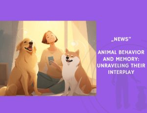 News-Animal Behavior and Memory Unraveling Their Interplay