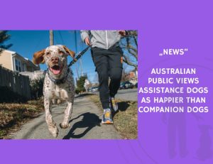 News-Australian Public Views Assistance Dogs as Happier Than Companion Dogs