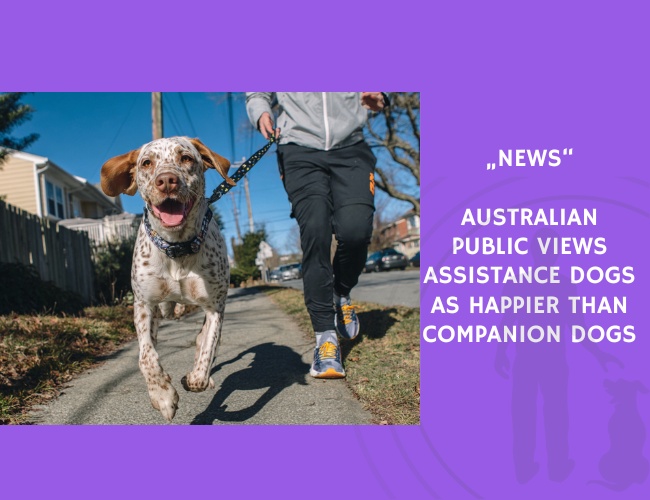 News-Australian Public Views Assistance Dogs as Happier Than Companion Dogs