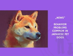 News-Behavior Problems Common in Japanese Pet Dogs