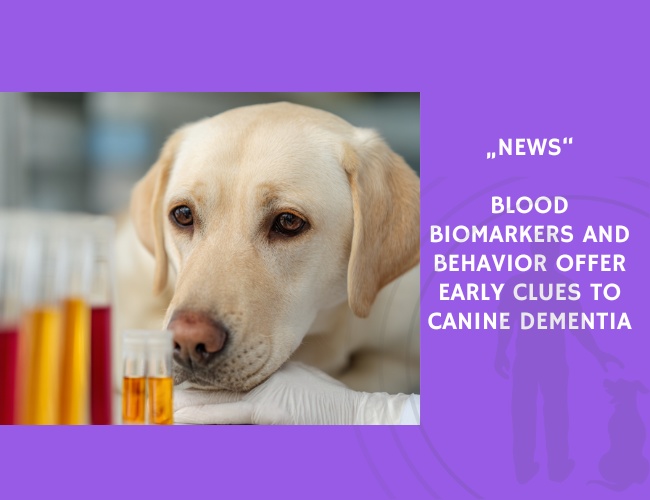 News-Blood Biomarkers and Behavior Offer Early Clues to Canine Dementia