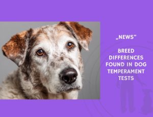 News-Breed Differences Found in Dog Temperament Tests