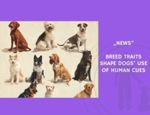 News-Breed Traits Shape Dogs’ Use of Human Cues