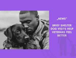 News-Brief Shelter Dog Visits Help Veterans Feel Better