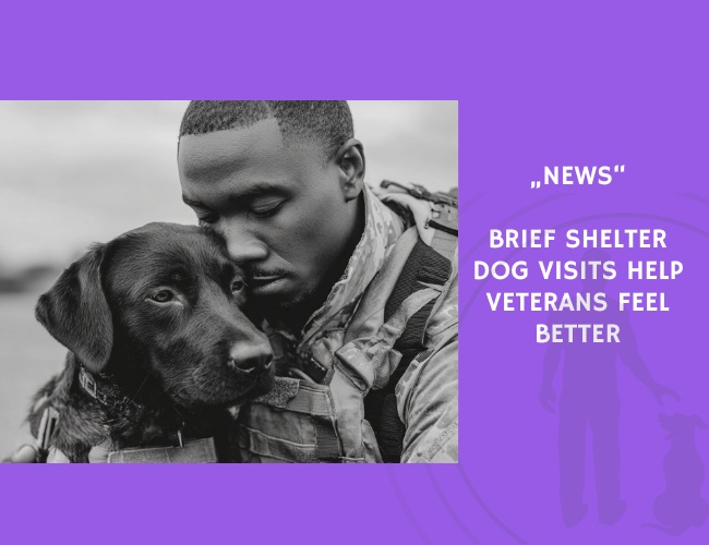 News-Brief Shelter Dog Visits Help Veterans Feel Better