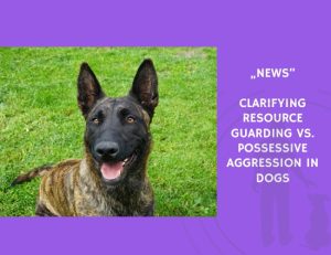 News-Clarifying Resource Guarding vs. Possessive Aggression in Dogs