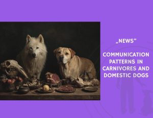 News-Communication Patterns in Carnivores and Domestic Dogs