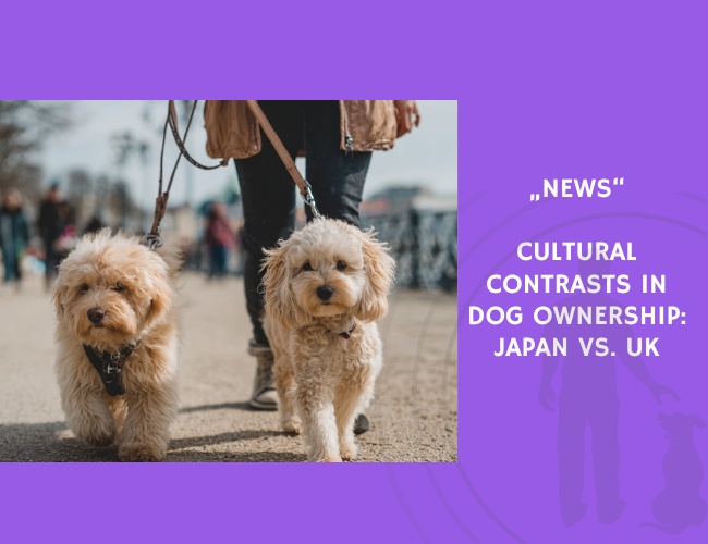 News-Cultural Contrasts in Dog Ownership Japan vs. UK