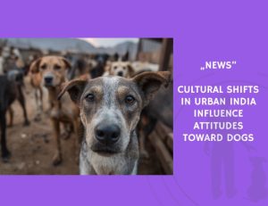 News-Cultural Shifts in Urban India Influence Attitudes Toward Dogs