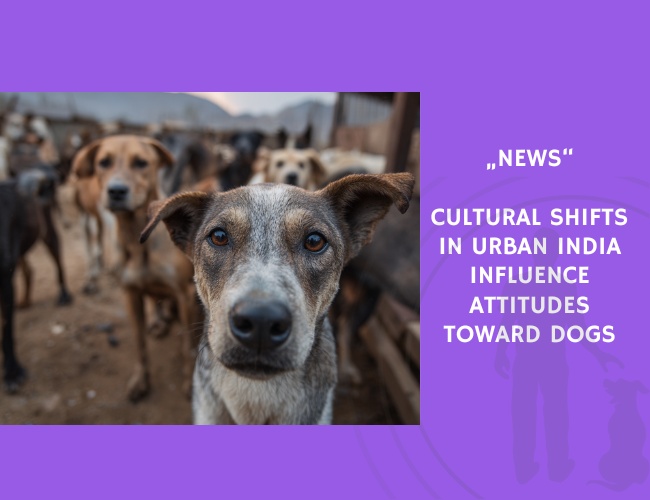 News-Cultural Shifts in Urban India Influence Attitudes Toward Dogs