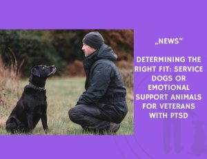 News-Determining the Right Fit Service Dogs or Emotional Support Animals for Veterans with PTSD