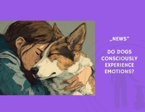 News-Do Dogs Consciously Experience Emotions