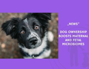 News-Dog Ownership Boosts Maternal and Fetal Microbiomes