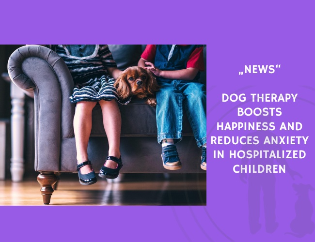 News-Dog Therapy Boosts Happiness and Reduces Anxiety in Hospitalized Children