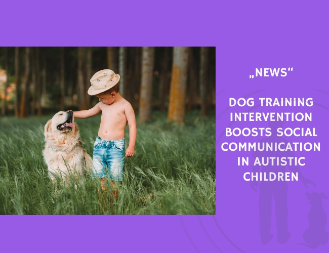 News-Dog Training Intervention Boosts Social Communication in Autistic Children