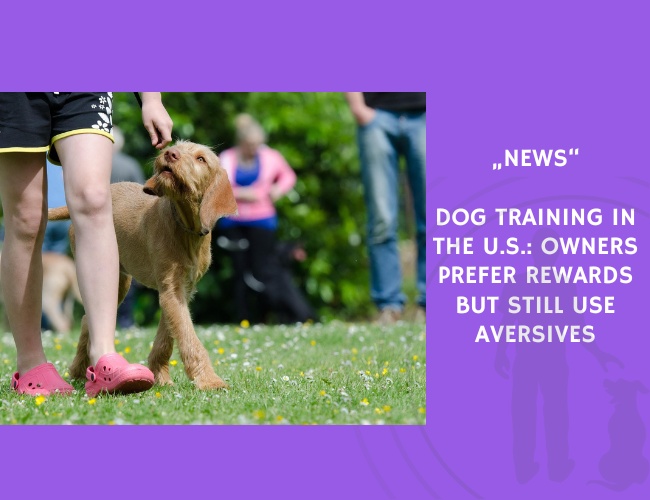 News-Dog Training in the U.S. Owners Prefer Rewards but Still Use Aversives