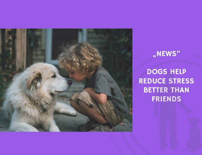 News-Dogs Help Reduce Stress Better Than Friends