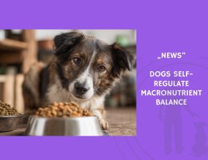 News-Dogs Self-Regulate Macronutrient Balance