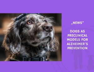 News-Dogs as Preclinical Models for Alzheimer’s Prevention