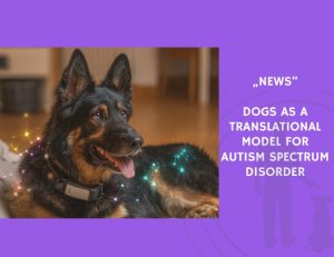 News-Dogs as a Translational Model for Autism Spectrum Disorder