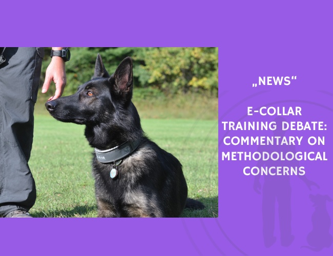 News-E-Collar Training Debate Commentary on Methodological Concerns