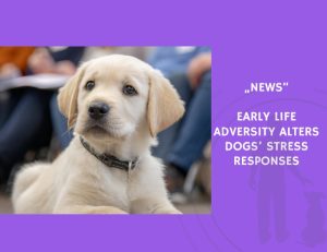 News-Early Life Adversity Alters Dogs’ Stress Responses