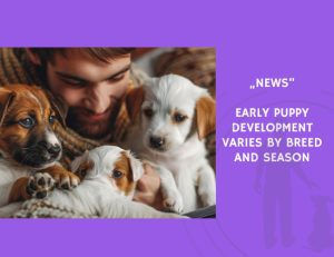 News-Early Puppy Development Varies by Breed and Season