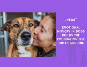 News-Emotional Mimicry in Dogs Builds the Foundation for Human Bonding