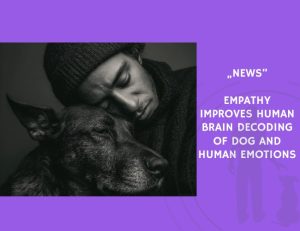News-Empathy Improves Human Brain Decoding of Dog and Human Emotions