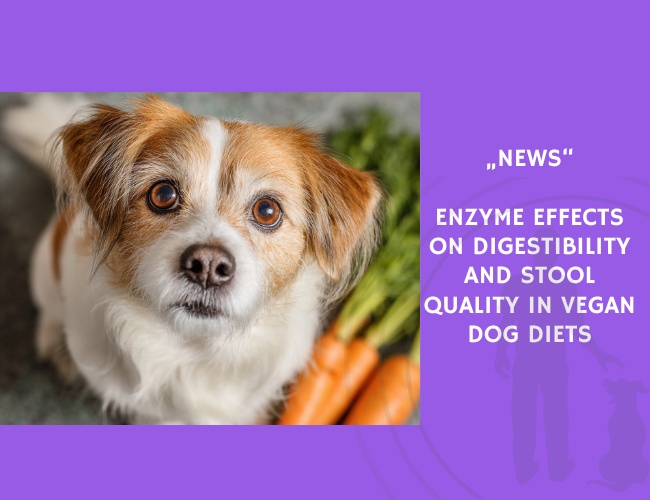 News-Enzyme Effects on Digestibility and Stool Quality in Vegan Dog Diets