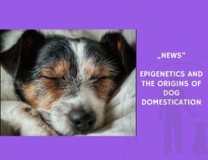 News-Epigenetics and the Origins of Dog Domestication