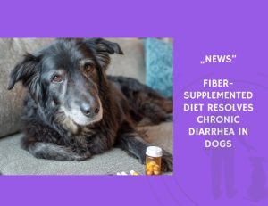 News-Fiber-Supplemented Diet Resolves Chronic Diarrhea in Dogs