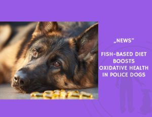 News-Fish-Based Diet Boosts Oxidative Health in Police Dogs