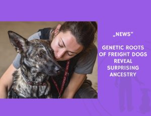 News-Genetic Roots of Freight Dogs Reveal Surprising Ancestry