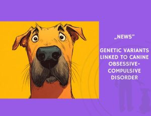 News-Genetic Variants Linked to Canine Obsessive-Compulsive Disorder