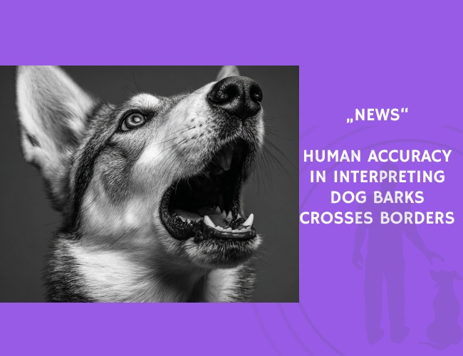 News-Human Accuracy in Interpreting Dog Barks Crosses Borders