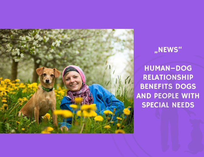 News-Human–Dog Relationship Benefits Dogs and People with Special Needs