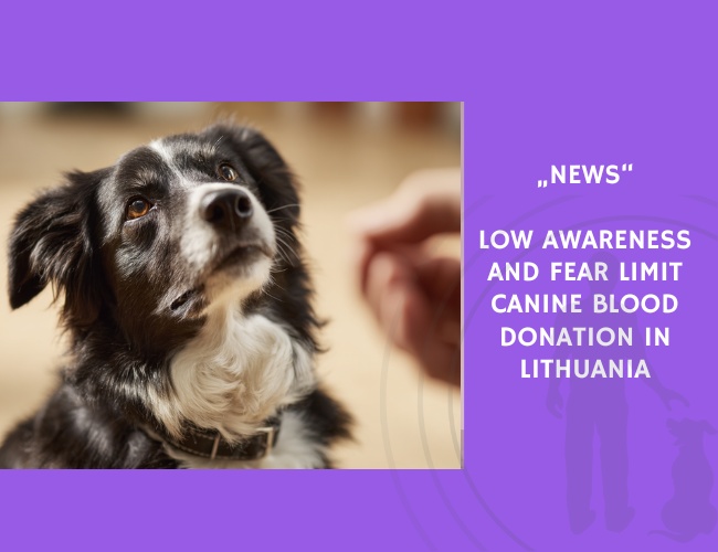 News-Low Awareness and Fear Limit Canine Blood Donation in Lithuania