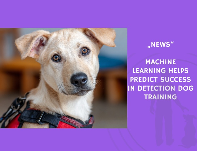 News-Machine Learning Helps Predict Success in Detection Dog Training