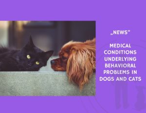 News-Medical Conditions Underlying Behavioral Problems in Dogs and Cats
