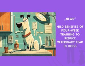 News-Mild Benefits of Four-Week Training to Reduce Veterinary Fear in Dogs