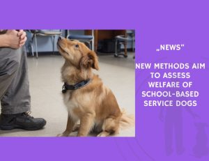 News-New Methods Aim to Assess Welfare of School-Based Service Dogs
