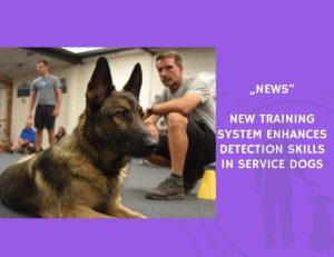 News-New Training System Enhances Detection Skills in Service Dogs