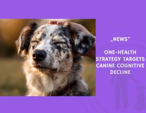 News-One-Health Strategy Targets Canine Cognitive Decline