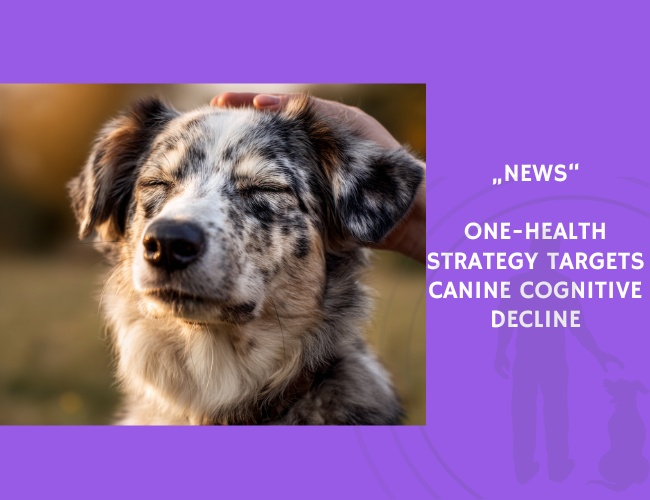 News-One-Health Strategy Targets Canine Cognitive Decline