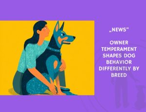 News-Owner Temperament Shapes Dog Behavior Differently by Breed